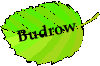 Budrow